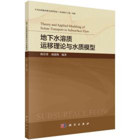 地下水流数值模拟理论方法及模型设计