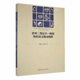 全新升级左右脑开发系列：左脑开发（4岁）