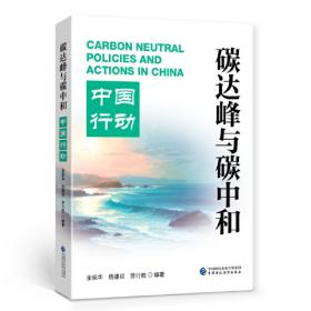 碳达峰碳中和目标下的中国新能源产业持续发展--基于企业成长视角的实证研究