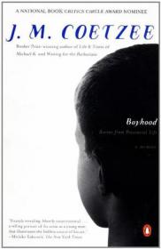 Boyhood & Beyond