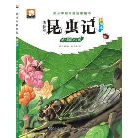 法布尔昆虫记（彩绘本）·温柔杀手螳螂