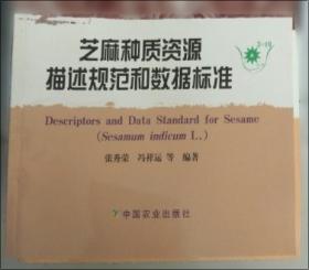 理论创新:中国化马克思主义