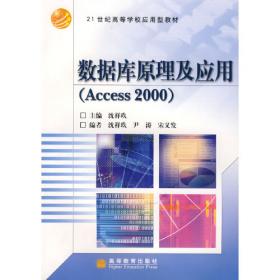 高等学校精品规划教材：数据库原理及应用（Access 2007）