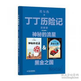 丁丁历险记·独角兽号的秘密