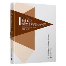 西方新文化史与中国社会文化史的理论与实践：第二届学术研讨会论文集