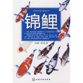 观赏鱼养殖与鉴赏系列：龙鱼