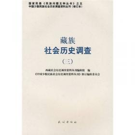 广西壮族社会历史调查（5）