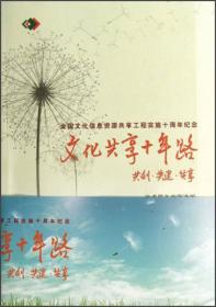 文化蓝皮书：中国公共文化服务发展报告（2012版）