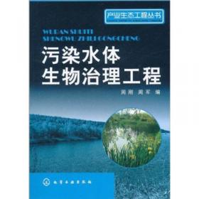 全球视野下的沈从文/全球视野下的中国文学系列