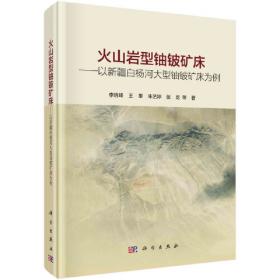 中国少数民族文学学术史(现当代诗歌散文卷)(精)