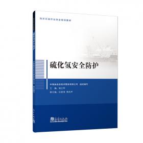 磷及磷化合物质量标准手册