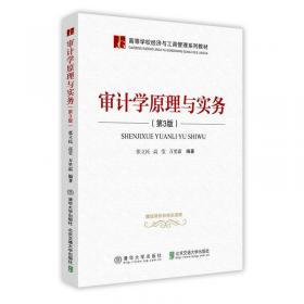 审计学原理与实务（第2版）/高等学校经济与工商管理系列教材