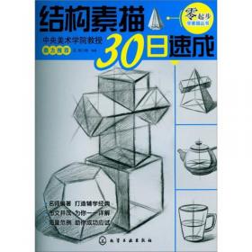 零起步学素描丛书：石膏几何体30日速成