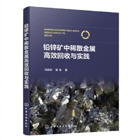 铅锌冶炼生产技术手册