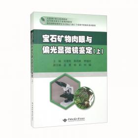 宝石鉴定仪器与鉴定方法（第2版）/21世纪高等教育珠宝首饰类专业规划教材