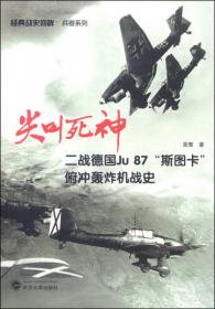 长空鹰隼：二战德国Bf 109战斗机战史