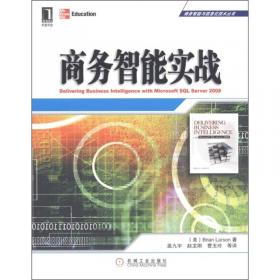 商务智能：实现企业全球竞争优势的数据分析方法