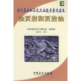油页岩灰渣筑路技术研究与应用