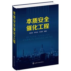 本质安全型发电企业安全风险控制指导手册（火力发电分册）