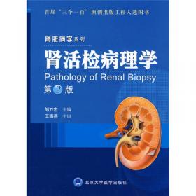 肾活检病理学（第4版）/北京大学肾脏疾病研究所·肾脏病学系列