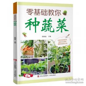 零基础素描入门教程：静物与静物组合