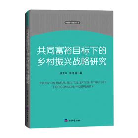 国际减贫合作研究(共2册)
