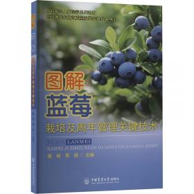 图解室内设计入门 室内设计手绘教程书建筑室内设计入门建筑设计效果图表现技法室内设计书