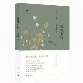 提灯去见少年郎