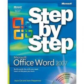 Microsoft Office Excel 2007 进阶指南