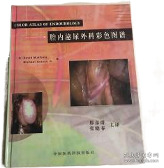 腔内静脉治疗学