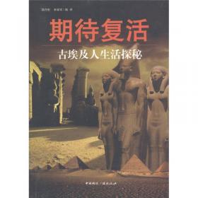 古代埃及象形文字文献译注