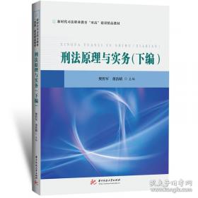 刑法总论问题论要