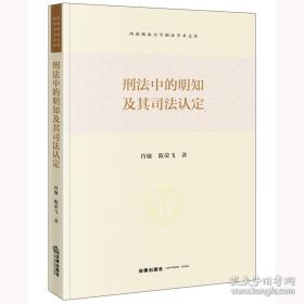 刑法新释与例解