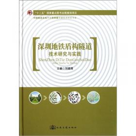 中国隧道及地下工程修建关键技术研究书系：运营隧道管养指南