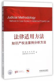 法律适用方法：刑法案例分析方法（第2版）