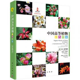 中国高等植物彩色图鉴  第七卷 被子植物 玄参科—菊科