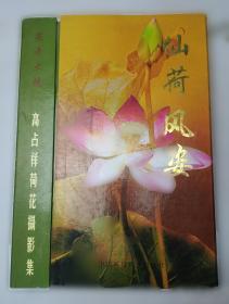 花卉及观赏树木载培手册