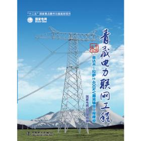 《青藏电力联网工程 专业卷 西藏中部220kV电网工程建设》