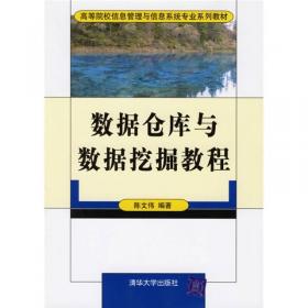 高等院校信息管理与信息系统专业系列教材：数据仓库与数据挖掘教程（第2版）