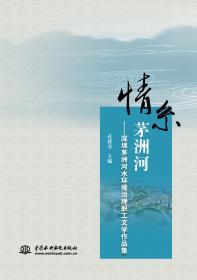 标准“走出去”：中国水电战略研究与实践