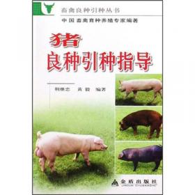 迪卡猪的饲养管理和防病保健:高产优质高效瘦肉型配套系猪