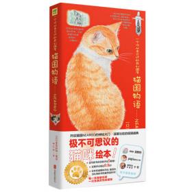 猫国物语：一个你从未见过的奇幻国度Neargo