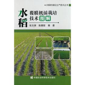 水稻优良品种及其栽培技术