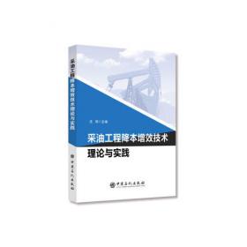 中国石油学会压裂技术论文集（2014）
