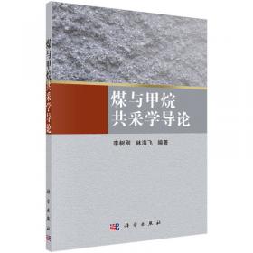 中国煤矿安全技术与管理：煤矿灾害机理