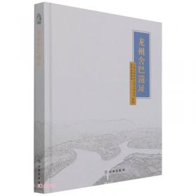 广西文物考古报告集（1991~2010）