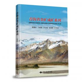 青海藏区农牧民专业合作社成长性评价与对策研究