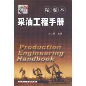 采油技术手册（第9分册）：压裂酸化工艺技术（修订本）