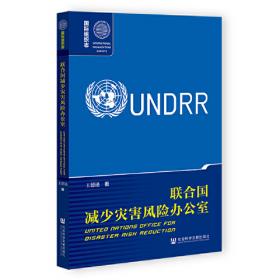 联合国事务年度评论:2010/2011:2010/2011