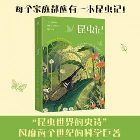 昆虫
